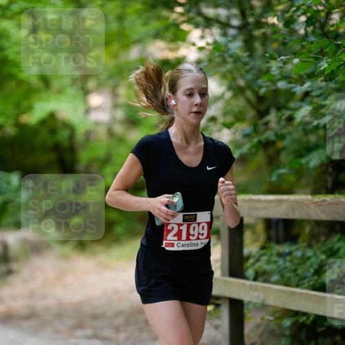 28.09.2025 - 33. Volkslauf durch das schöne Alstertal Patografie http://msf.ph/oto/8967279 28.09.2025 10:25:22 Laufen 2199 meine-sportfotos.de