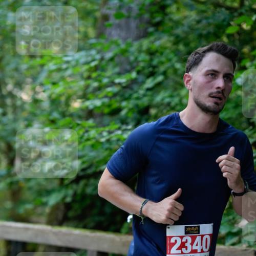 28.09.2025 - 33. Volkslauf durch das schöne Alstertal Patografie http://msf.ph/oto/8967345 28.09.2025 10:34:45 Laufen 2340 meine-sportfotos.de