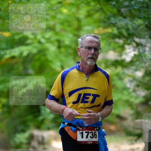 28.09.2025 - 33. Volkslauf durch das schöne Alstertal Patografie http://msf.ph/oto/8967352 28.09.2025 10:35:11 Laufen 1736 meine-sportfotos.de