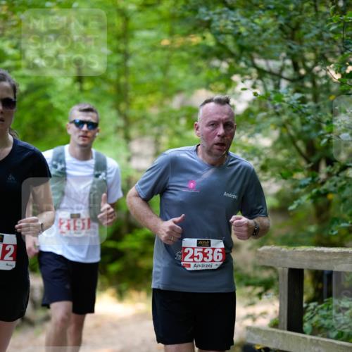 28.09.2025 - 33. Volkslauf durch das schöne Alstertal Patografie http://msf.ph/oto/8967353 28.09.2025 10:35:25 Laufen 12, 2191, 2536 meine-sportfotos.de