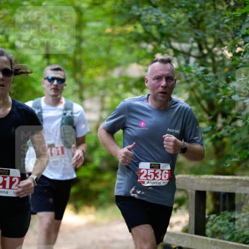 28.09.2025 - 33. Volkslauf durch das schöne Alstertal Patografie http://msf.ph/oto/8967355 28.09.2025 10:35:25 Laufen 212, 2536 meine-sportfotos.de