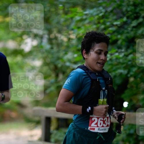 28.09.2025 - 33. Volkslauf durch das schöne Alstertal Patografie http://msf.ph/oto/8967359 28.09.2025 10:35:42 Laufen 2634 meine-sportfotos.de