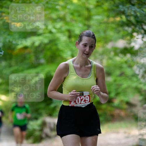 28.09.2025 - 33. Volkslauf durch das schöne Alstertal Patografie http://msf.ph/oto/8967362 28.09.2025 10:36:01 Laufen 2029 meine-sportfotos.de