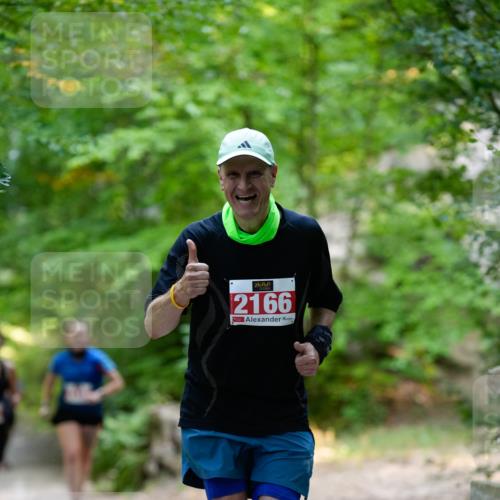28.09.2025 - 33. Volkslauf durch das schöne Alstertal Patografie http://msf.ph/oto/8967364 28.09.2025 10:36:08 Laufen 2166 meine-sportfotos.de