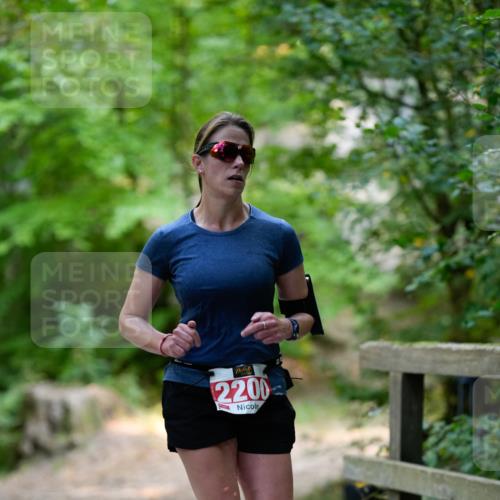 28.09.2025 - 33. Volkslauf durch das schöne Alstertal Patografie http://msf.ph/oto/8967373 28.09.2025 10:36:18 Laufen 2200 meine-sportfotos.de