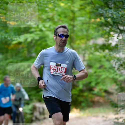 28.09.2025 - 33. Volkslauf durch das schöne Alstertal Patografie http://msf.ph/oto/8967375 28.09.2025 10:36:20 Laufen 2509 meine-sportfotos.de