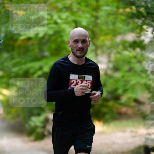 28.09.2025 - 33. Volkslauf durch das schöne Alstertal Patografie http://msf.ph/oto/8967377 28.09.2025 10:36:25 Laufen 225 meine-sportfotos.de