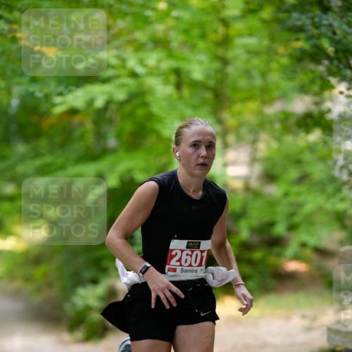 28.09.2025 - 33. Volkslauf durch das schöne Alstertal Patografie http://msf.ph/oto/8967394 28.09.2025 10:37:51 Laufen 2601 meine-sportfotos.de