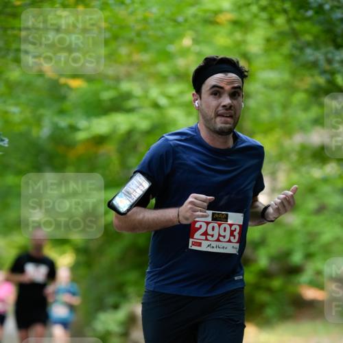 28.09.2025 - 33. Volkslauf durch das schöne Alstertal Patografie http://msf.ph/oto/8967395 28.09.2025 10:38:14 Laufen 2, 2993 meine-sportfotos.de