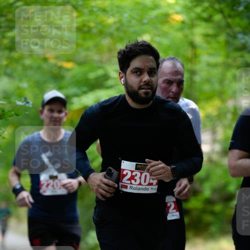 28.09.2025 - 33. Volkslauf durch das schöne Alstertal Patografie http://msf.ph/oto/8967408 28.09.2025 10:40:10 Laufen 230, 2 meine-sportfotos.de