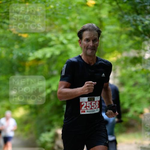 28.09.2025 - 33. Volkslauf durch das schöne Alstertal Patografie http://msf.ph/oto/8967421 28.09.2025 10:40:52 Laufen 2558 meine-sportfotos.de