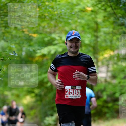 28.09.2025 - 33. Volkslauf durch das schöne Alstertal Patografie http://msf.ph/oto/8967435 28.09.2025 10:41:42 Laufen 2585 meine-sportfotos.de