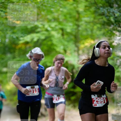 28.09.2025 - 33. Volkslauf durch das schöne Alstertal Patografie http://msf.ph/oto/8967436 28.09.2025 10:41:49 Laufen 315, 2991 meine-sportfotos.de