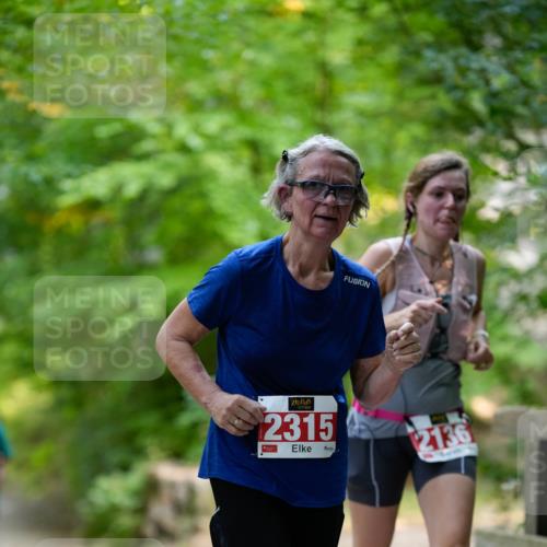 28.09.2025 - 33. Volkslauf durch das schöne Alstertal Patografie http://msf.ph/oto/8967438 28.09.2025 10:41:50 Laufen 2315, 2136 meine-sportfotos.de