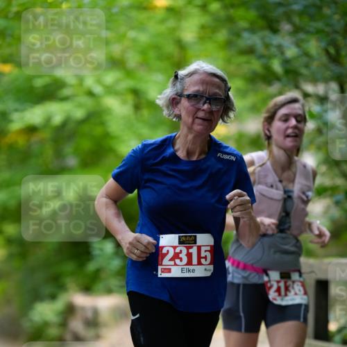 28.09.2025 - 33. Volkslauf durch das schöne Alstertal Patografie http://msf.ph/oto/8967440 28.09.2025 10:41:50 Laufen 2315, 2136 meine-sportfotos.de