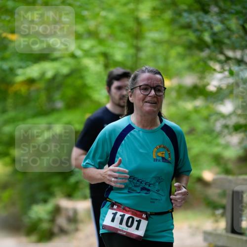 28.09.2025 - 33. Volkslauf durch das schöne Alstertal Patografie http://msf.ph/oto/8967441 28.09.2025 10:41:54 Laufen 2014, 1929, 1101 meine-sportfotos.de