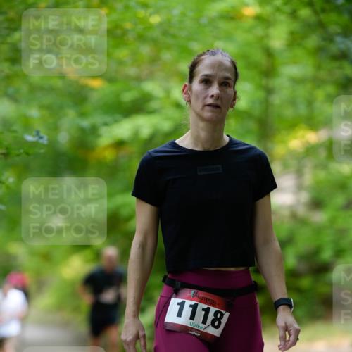 28.09.2025 - 33. Volkslauf durch das schöne Alstertal Patografie http://msf.ph/oto/8967443 28.09.2025 10:42:09 Laufen 1118 meine-sportfotos.de