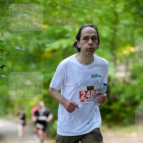 28.09.2025 - 33. Volkslauf durch das schöne Alstertal Patografie http://msf.ph/oto/8967448 28.09.2025 10:42:17 Laufen 248 meine-sportfotos.de