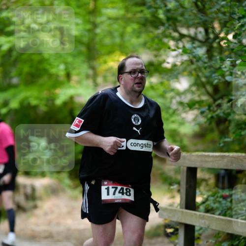 28.09.2025 - 33. Volkslauf durch das schöne Alstertal Patografie http://msf.ph/oto/8967450 28.09.2025 10:42:23 Laufen 1748 meine-sportfotos.de