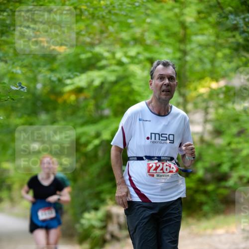 28.09.2025 - 33. Volkslauf durch das schöne Alstertal Patografie http://msf.ph/oto/8967458 28.09.2025 10:42:34 Laufen 2264 meine-sportfotos.de
