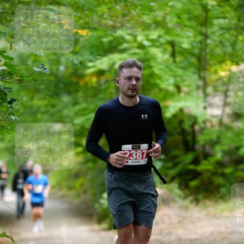 28.09.2025 - 33. Volkslauf durch das schöne Alstertal Patografie http://msf.ph/oto/8967467 28.09.2025 10:42:49 Laufen 2387 meine-sportfotos.de