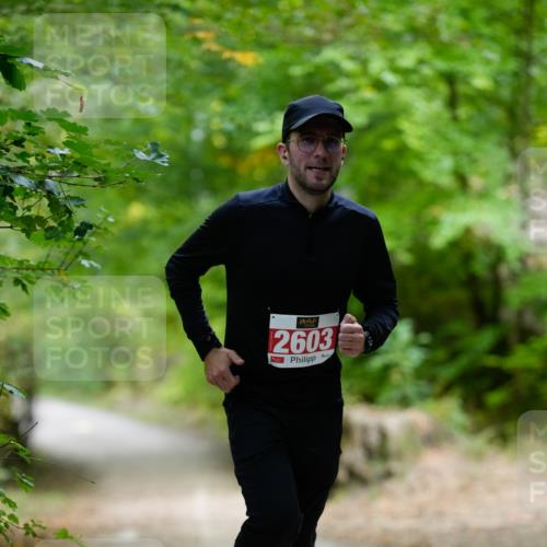 28.09.2025 - 33. Volkslauf durch das schöne Alstertal Patografie http://msf.ph/oto/8967482 28.09.2025 10:44:09 Laufen 2603 meine-sportfotos.de