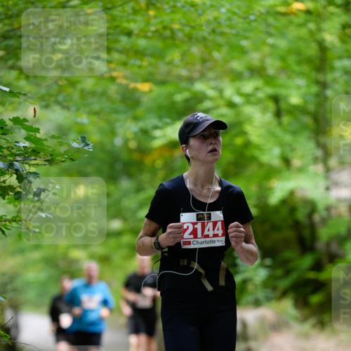 28.09.2025 - 33. Volkslauf durch das schöne Alstertal Patografie http://msf.ph/oto/8967484 28.09.2025 10:44:22 Laufen 2144 meine-sportfotos.de