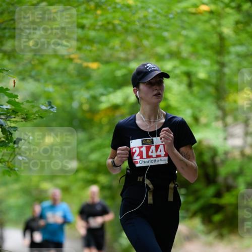 28.09.2025 - 33. Volkslauf durch das schöne Alstertal Patografie http://msf.ph/oto/8967486 28.09.2025 10:44:22 Laufen 2144 meine-sportfotos.de