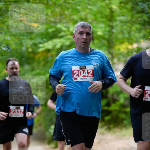28.09.2025 - 33. Volkslauf durch das schöne Alstertal Patografie http://msf.ph/oto/8967488 28.09.2025 10:44:26 Laufen 2332, 2042, 2 meine-sportfotos.de