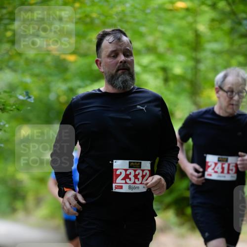 28.09.2025 - 33. Volkslauf durch das schöne Alstertal Patografie http://msf.ph/oto/8967490 28.09.2025 10:44:28 Laufen 2332, 2415 meine-sportfotos.de