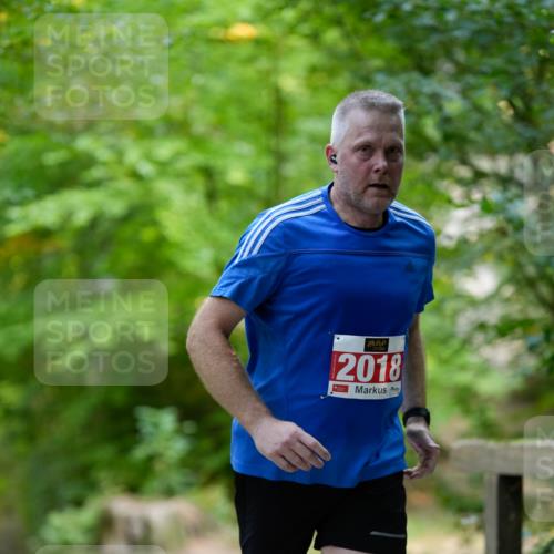 28.09.2025 - 33. Volkslauf durch das schöne Alstertal Patografie http://msf.ph/oto/8967492 28.09.2025 10:44:29 Laufen 2018 meine-sportfotos.de
