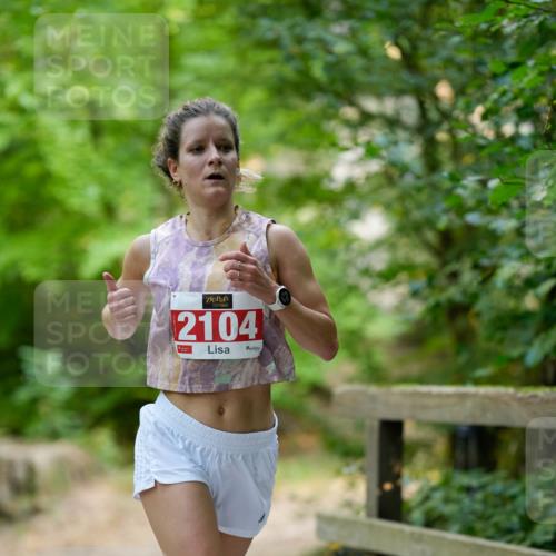 28.09.2025 - 33. Volkslauf durch das schöne Alstertal Patografie http://msf.ph/oto/8967494 28.09.2025 10:45:11 Laufen 2104 meine-sportfotos.de