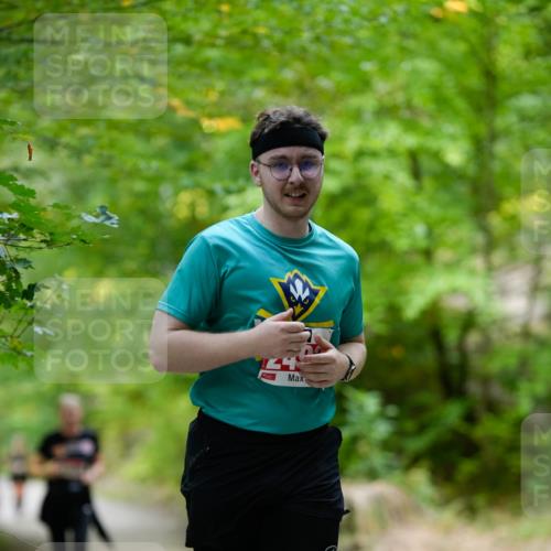 28.09.2025 - 33. Volkslauf durch das schöne Alstertal Patografie http://msf.ph/oto/8967500 28.09.2025 10:45:27 Laufen  meine-sportfotos.de