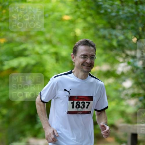 28.09.2025 - 33. Volkslauf durch das schöne Alstertal Patografie http://msf.ph/oto/8967502 28.09.2025 10:45:48 Laufen 1837 meine-sportfotos.de
