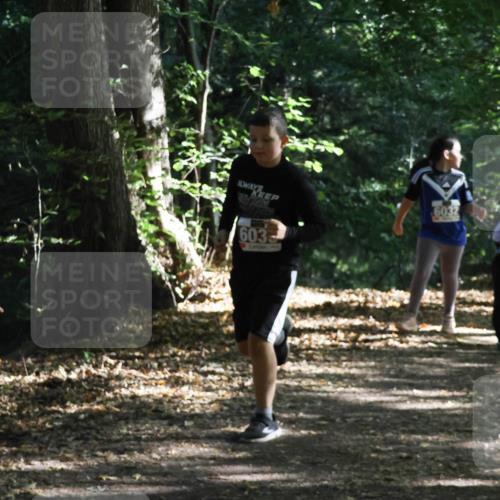 28.09.2025 - 33. Volkslauf durch das schöne Alstertal Strokosch-Dieckow http://msf.ph/oto/8967675 28.09.2025 10:41:25 Laufen 17, 603, 6032 meine-sportfotos.de