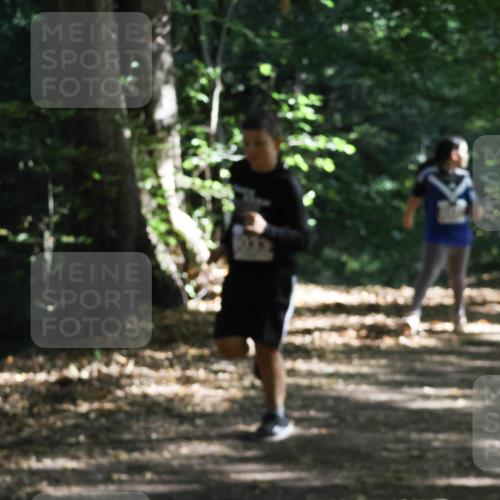 28.09.2025 - 33. Volkslauf durch das schöne Alstertal Strokosch-Dieckow http://msf.ph/oto/8967676 28.09.2025 10:41:26 Laufen  meine-sportfotos.de