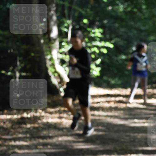 28.09.2025 - 33. Volkslauf durch das schöne Alstertal Strokosch-Dieckow http://msf.ph/oto/8967677 28.09.2025 10:41:26 Laufen  meine-sportfotos.de