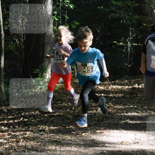 28.09.2025 - 33. Volkslauf durch das schöne Alstertal Strokosch-Dieckow http://msf.ph/oto/8967679 28.09.2025 10:41:29 Laufen 044, 6045, 6032, 695 meine-sportfotos.de