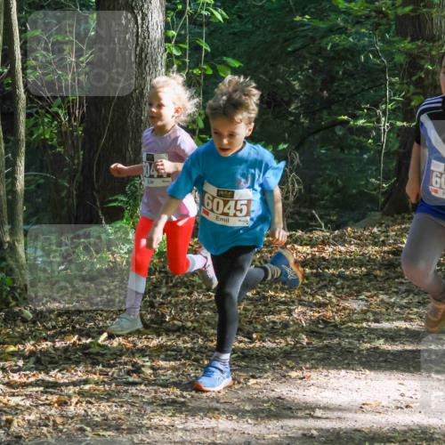 28.09.2025 - 33. Volkslauf durch das schöne Alstertal Strokosch-Dieckow http://msf.ph/oto/8967680 28.09.2025 10:41:29 Laufen 6045, 7500, 6032, 69 meine-sportfotos.de
