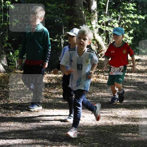 28.09.2025 - 33. Volkslauf durch das schöne Alstertal Strokosch-Dieckow http://msf.ph/oto/8967683 28.09.2025 10:41:32 Laufen 10, 6957, 6061 meine-sportfotos.de