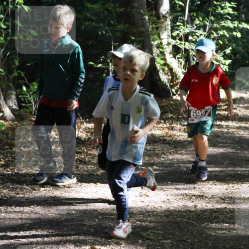 28.09.2025 - 33. Volkslauf durch das schöne Alstertal Strokosch-Dieckow http://msf.ph/oto/8967684 28.09.2025 10:41:32 Laufen 10, 6957, 6061 meine-sportfotos.de