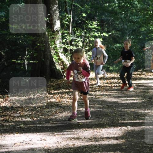 28.09.2025 - 33. Volkslauf durch das schöne Alstertal Strokosch-Dieckow http://msf.ph/oto/8967686 28.09.2025 10:41:37 Laufen 6062, 5013, 602, 035 meine-sportfotos.de