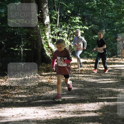 28.09.2025 - 33. Volkslauf durch das schöne Alstertal Strokosch-Dieckow http://msf.ph/oto/8967687 28.09.2025 10:41:38 Laufen 600, 0025, 6035 meine-sportfotos.de