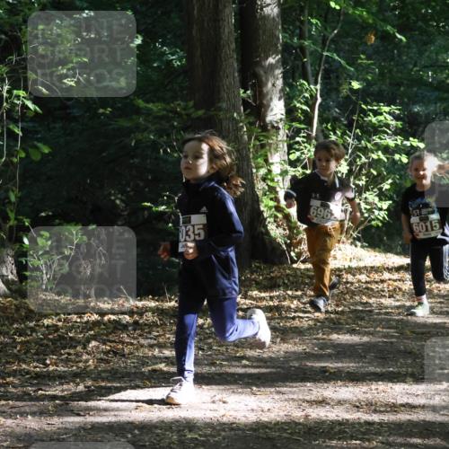 28.09.2025 - 33. Volkslauf durch das schöne Alstertal Strokosch-Dieckow http://msf.ph/oto/8967690 28.09.2025 10:41:40 Laufen 6025, 035, 696, 57, 6015 meine-sportfotos.de