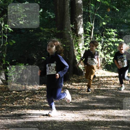 28.09.2025 - 33. Volkslauf durch das schöne Alstertal Strokosch-Dieckow http://msf.ph/oto/8967691 28.09.2025 10:41:40 Laufen 25, 035, 6962, 6015 meine-sportfotos.de