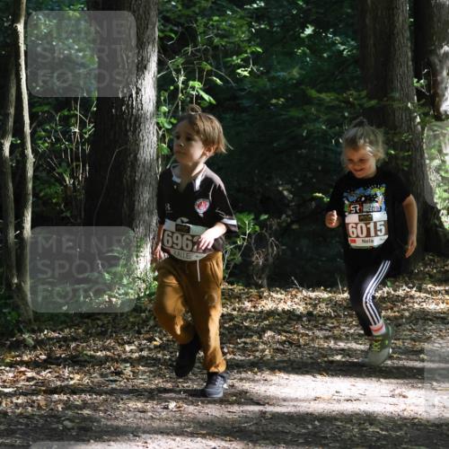 28.09.2025 - 33. Volkslauf durch das schöne Alstertal Strokosch-Dieckow http://msf.ph/oto/8967692 28.09.2025 10:41:41 Laufen 6967, 6015 meine-sportfotos.de