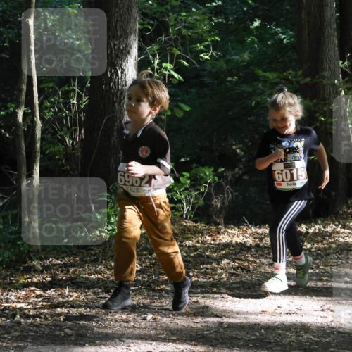 28.09.2025 - 33. Volkslauf durch das schöne Alstertal Strokosch-Dieckow http://msf.ph/oto/8967694 28.09.2025 10:41:41 Laufen 6962, 6015 meine-sportfotos.de