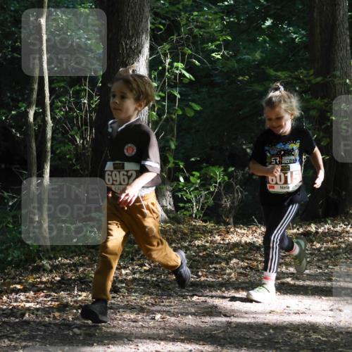 28.09.2025 - 33. Volkslauf durch das schöne Alstertal Strokosch-Dieckow http://msf.ph/oto/8967695 28.09.2025 10:41:41 Laufen 6962, 6015 meine-sportfotos.de