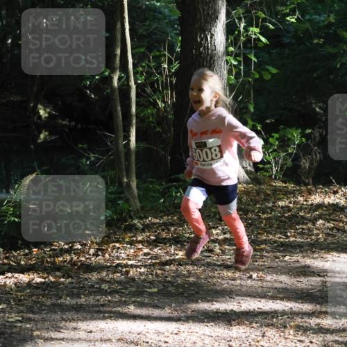 28.09.2025 - 33. Volkslauf durch das schöne Alstertal Strokosch-Dieckow http://msf.ph/oto/8967698 28.09.2025 10:41:44 Laufen 6008 meine-sportfotos.de