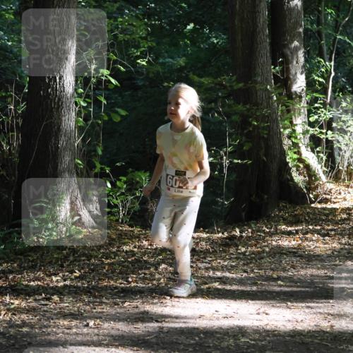 28.09.2025 - 33. Volkslauf durch das schöne Alstertal Strokosch-Dieckow http://msf.ph/oto/8967701 28.09.2025 10:41:46 Laufen 60 meine-sportfotos.de